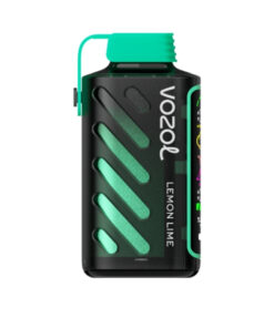 Vozol Gear Power 20000