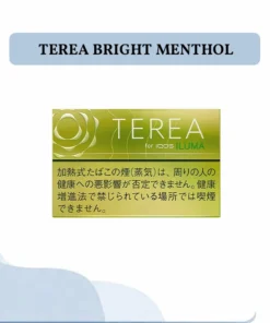 TEREA Bright Menthol